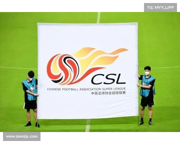 中国足球职业联赛商业化步伐加快 各大赞助商积极入驻推动联赛发展 中国足球职业联赛商业化步伐加快 各大赞助商积极入驻推动联赛发展